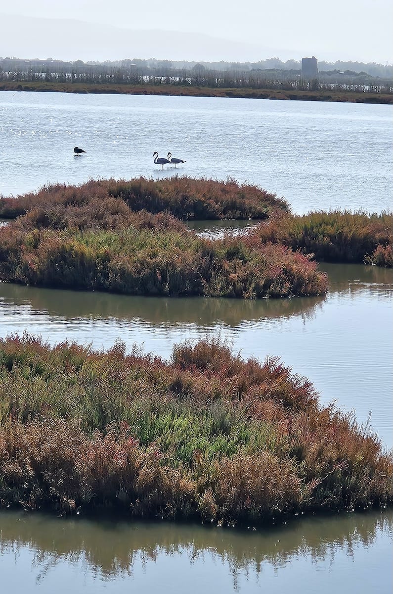 Sardinien, Sinis Halbinsel. Foto: Lena Ziehres, Reiselust-Mag