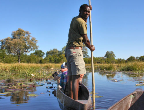 Das Okavango-Delta in Botswana – 8 Tipps für das perfekte Safari-Erlebnis