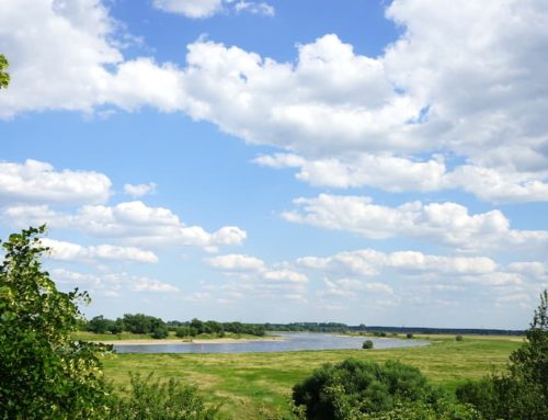 „In the Middle of Nüscht“ – die Altmark entdecken