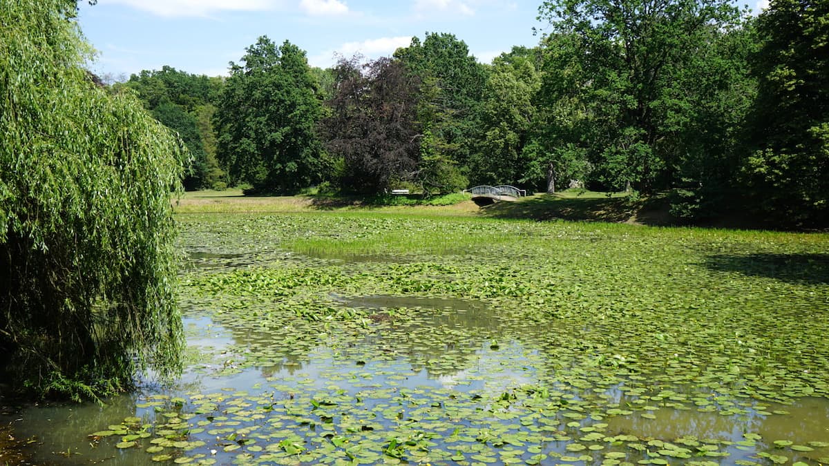 Altmark Tangerhütte: Blick über den Schwanenteich des Stadtparks. Foto: Beate Ziehres