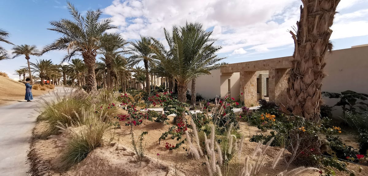 Ananatara Sahara Tozeur Resort, Tunesien. Garten in der Wüste. Foto: Beate Ziehres, Reiselust-Mag