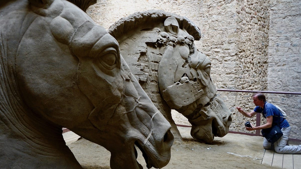 Tierisch: Max, der Pferdeflüsterer, in Aktion. Die Pferdeköpfe sind Bestandteil des Lapidariums von Gustavo Aceves und wurden in der Festung der Medici in Arezzo, Italien, Toskana gezeigt. – Foto: Beate Ziehres