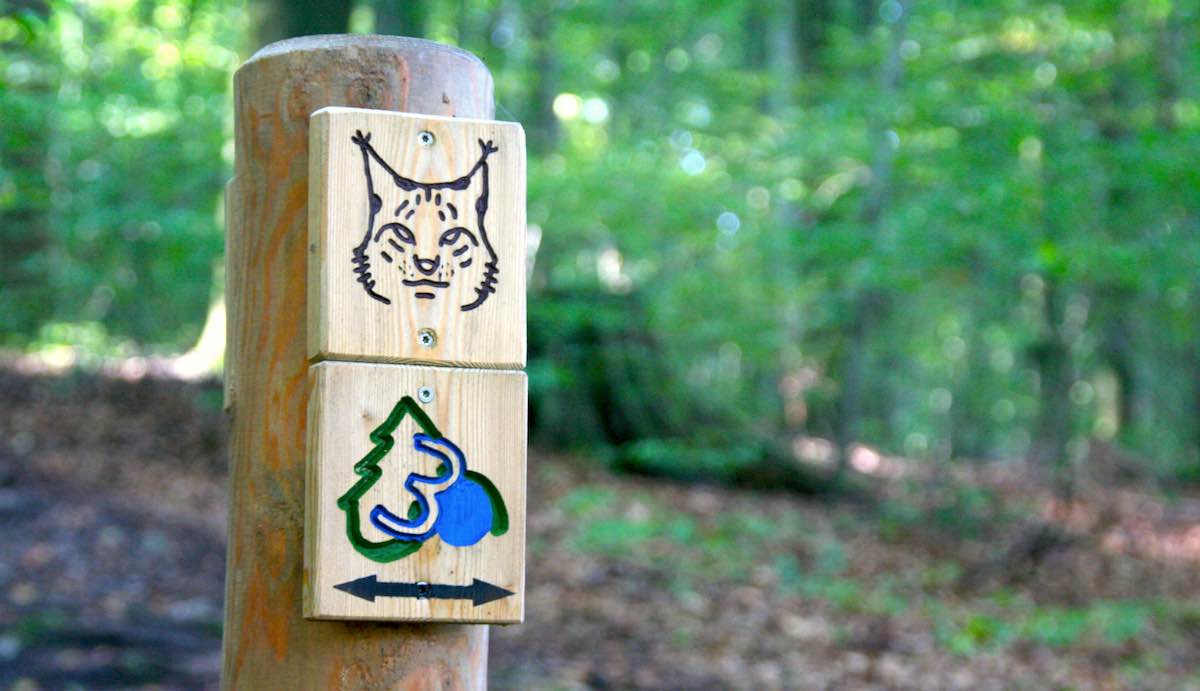 Markierung der Luchstour bei Bad Harzburg – Foto: Beate Ziehres