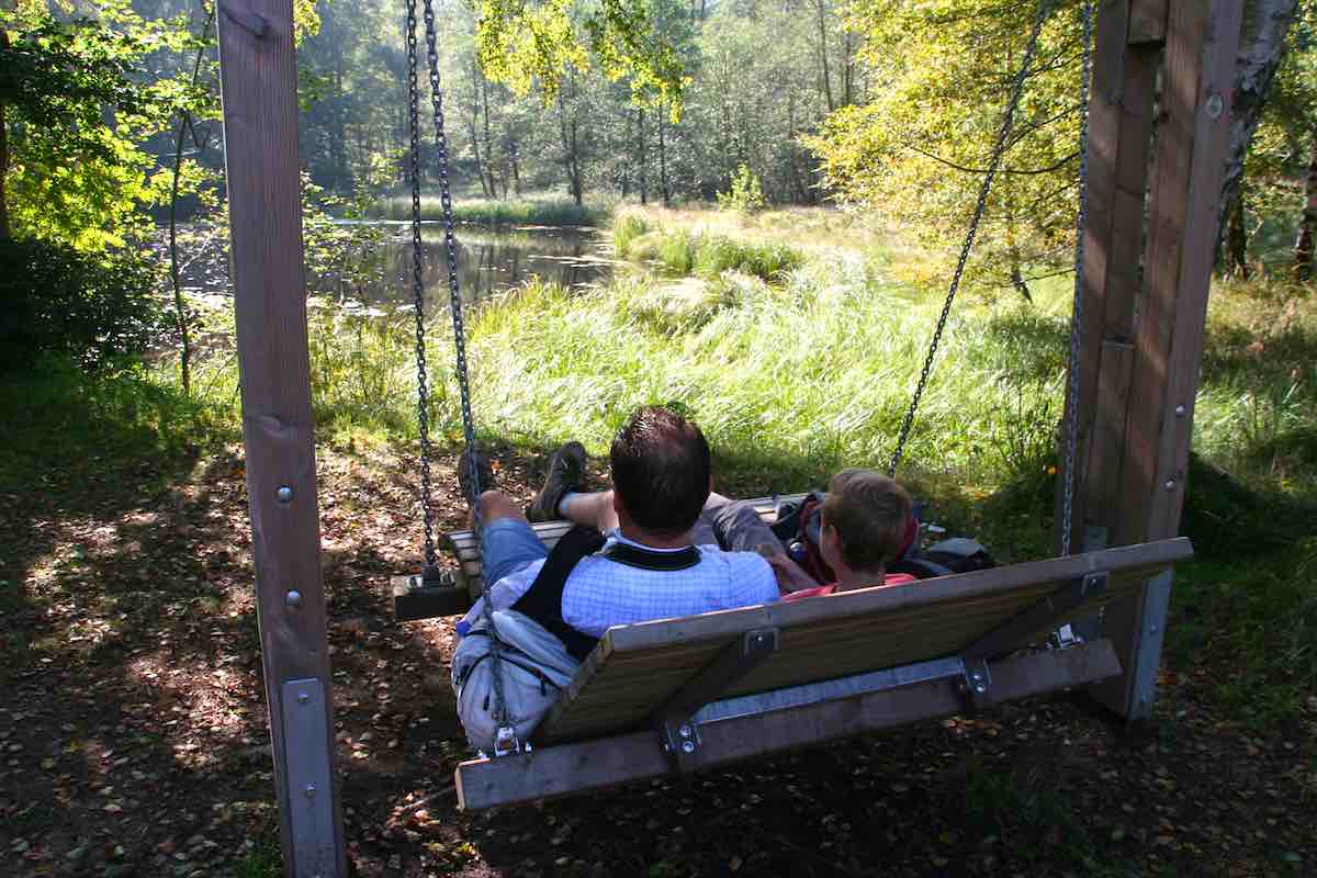 Waldschaukel am Hasselteich bei Bad Harzburg – Foto: Beate Ziehres