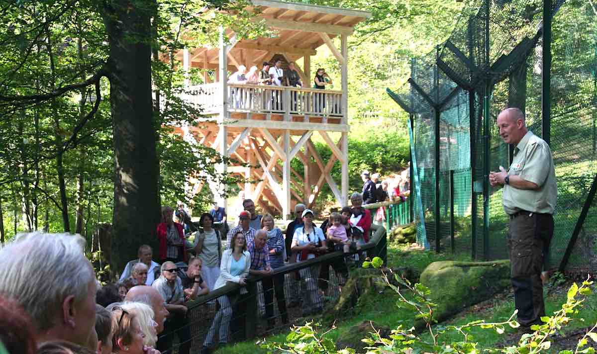 Bei Bad Harzburg: Ein Ranger erklärt Wissenswertes über die Luchse – Foto: Beate Ziehres