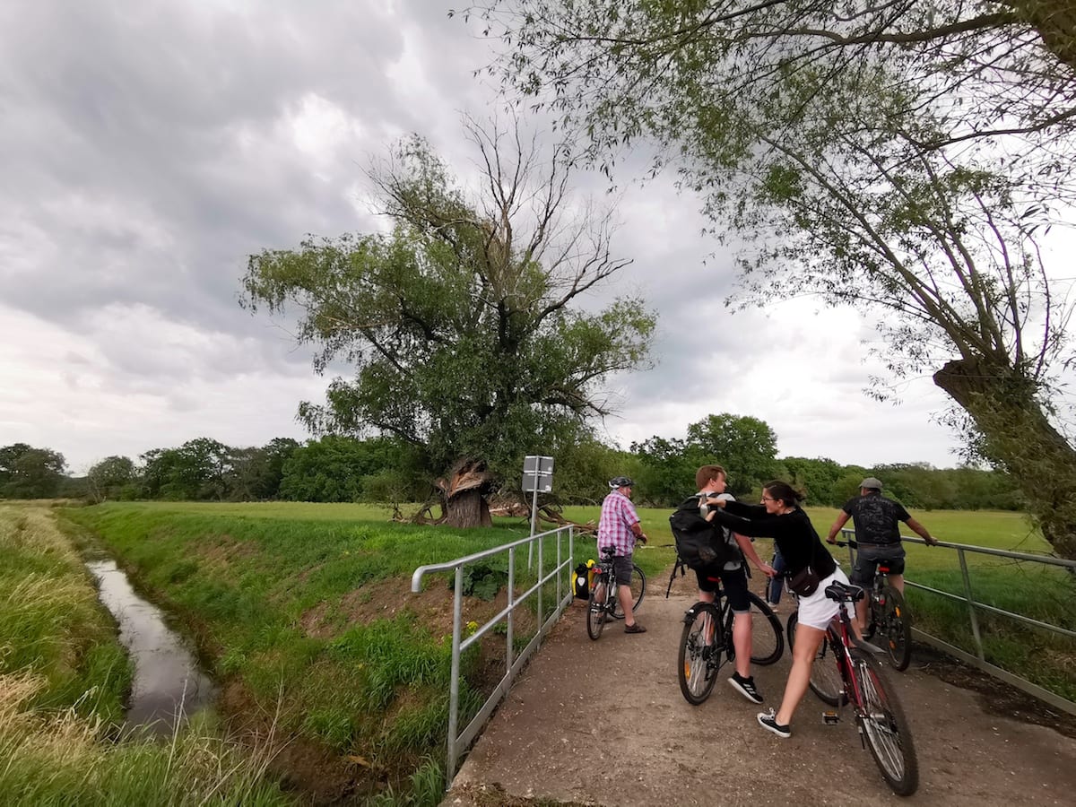 Familienausflug auf dem Oderradweg zwischen Lebus und Frankfurt. Foto: Beate Ziehres / Reiselust-Mag