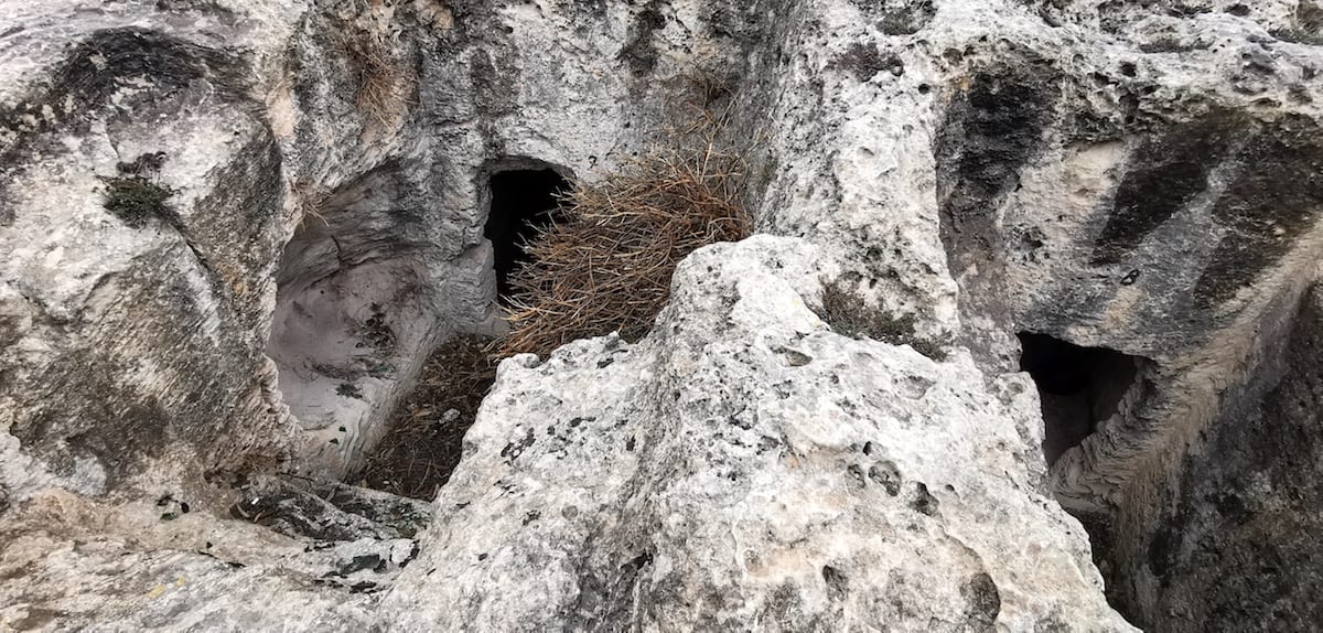 Cap Bon, Nekropole Sidi Salem. Foto: Beate Ziehres, Reiselust-Mag 