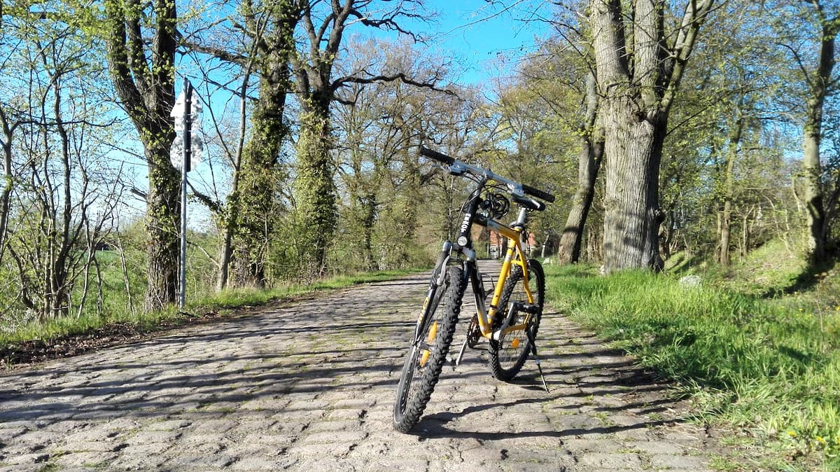 Radtour im Lappwald. Foto: Beate Ziehres