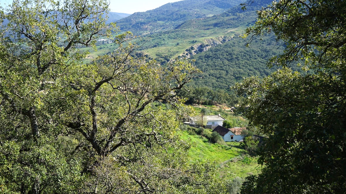 Kroumirie, Nordtunesien. Foto: Beate Ziehres