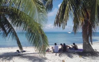 Strand und Palmen, Kuba. Foto: Beate Ziehres, Reiselust-Mag