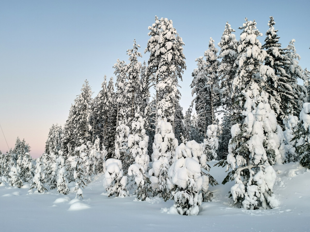 Kuusamo, Finnland: Schneelandschaft. Foto: Beate Ziehres, Reiselust-Mag
