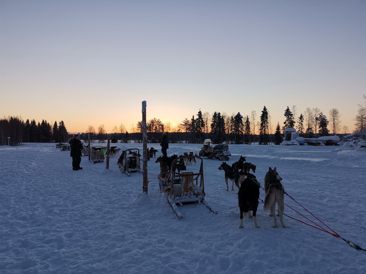 Kuusamo, Finnland: Auf gehts zur Fahrt mit dem Hundeschlitten. Foto: Beate Ziehres, Reiselust-Mag