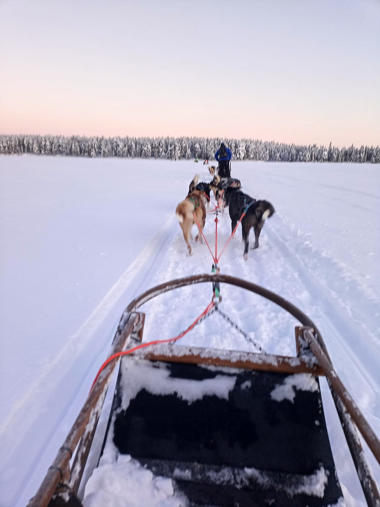 Kuusamo, Finnland. Unterwegs mit dem Hundeschlitten auf einem gefrorenen See. Foto: Bernd Ewert, Reiselust-Mag
