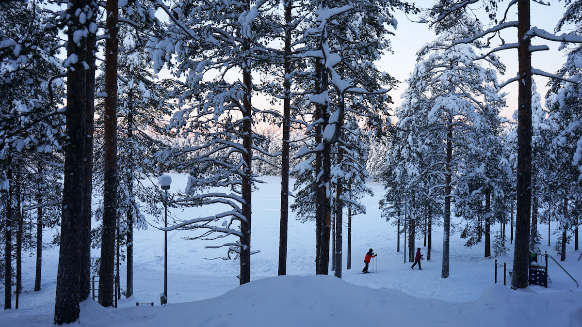 Kuusamo, Finnland: Langläufer. Foto: Beate Ziehres, Reiselust-Mag