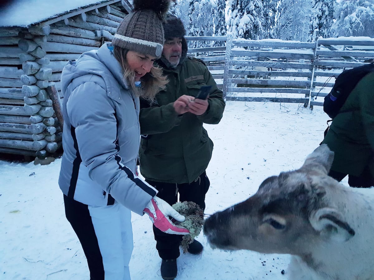 Kuusamo, Finnland. Rentierkinder füttern. Foto: Lena Ziehres, Reiselust-Mag