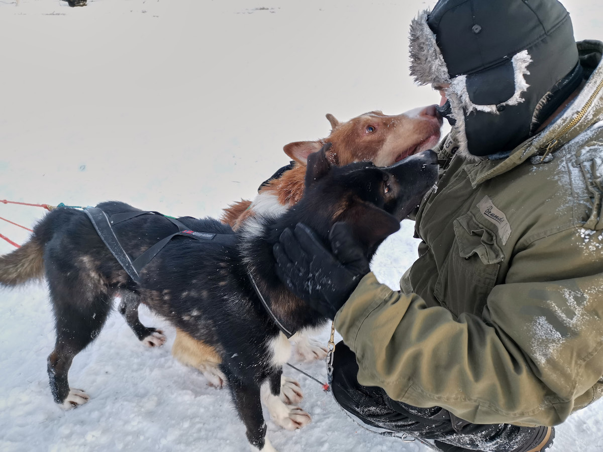 Kuusamo, Finnland: Hundeschlittenkuscheln. Foto: Beate Ziehres, Reiselust-Mag