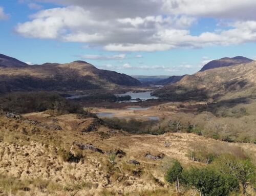 Killarney National Park in Irland