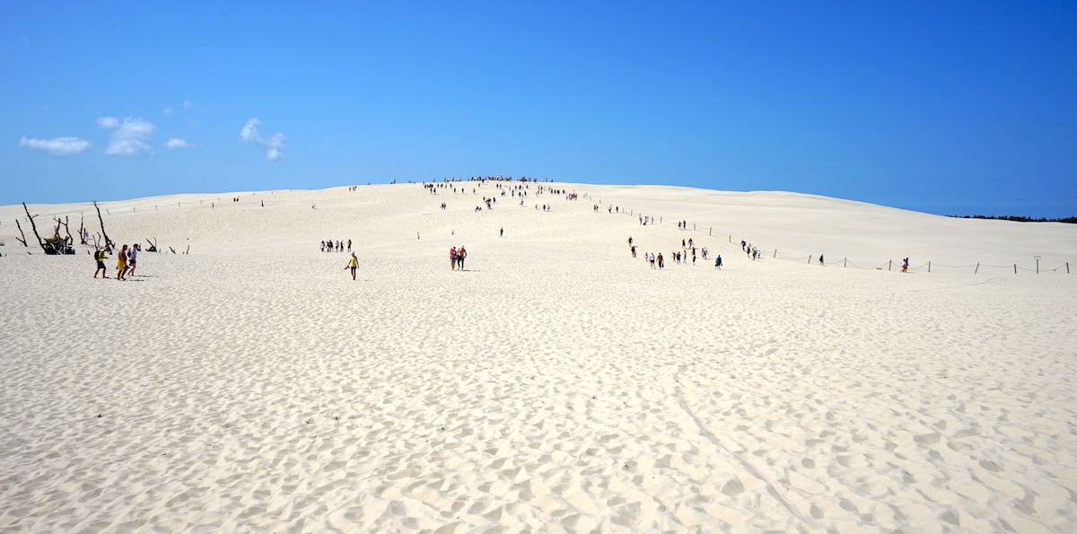 Die Lacka-Düne im Slowinski Nationalpark – Foto: Beate Ziehres