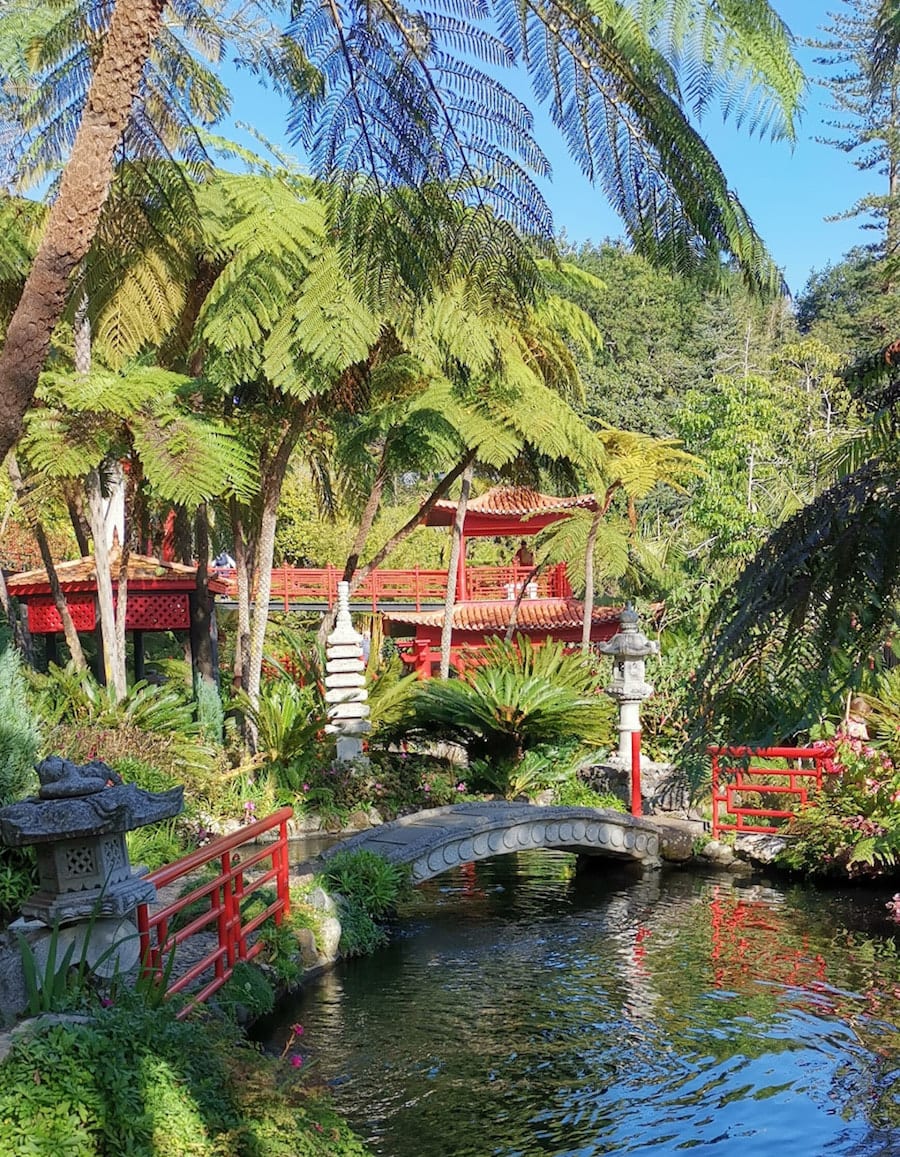 Tropischer Garten Monte Palace bei Funchal, Madeira. Foto: Beate Ziehres, Reiselust-Mag