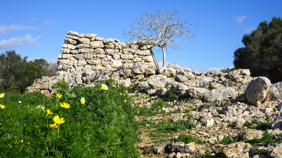 Mallorca im Winter: Beim Wandern entdeckt: Ausgrabungen Capocorb Vell Talaiots. Foto: Beate Ziehres