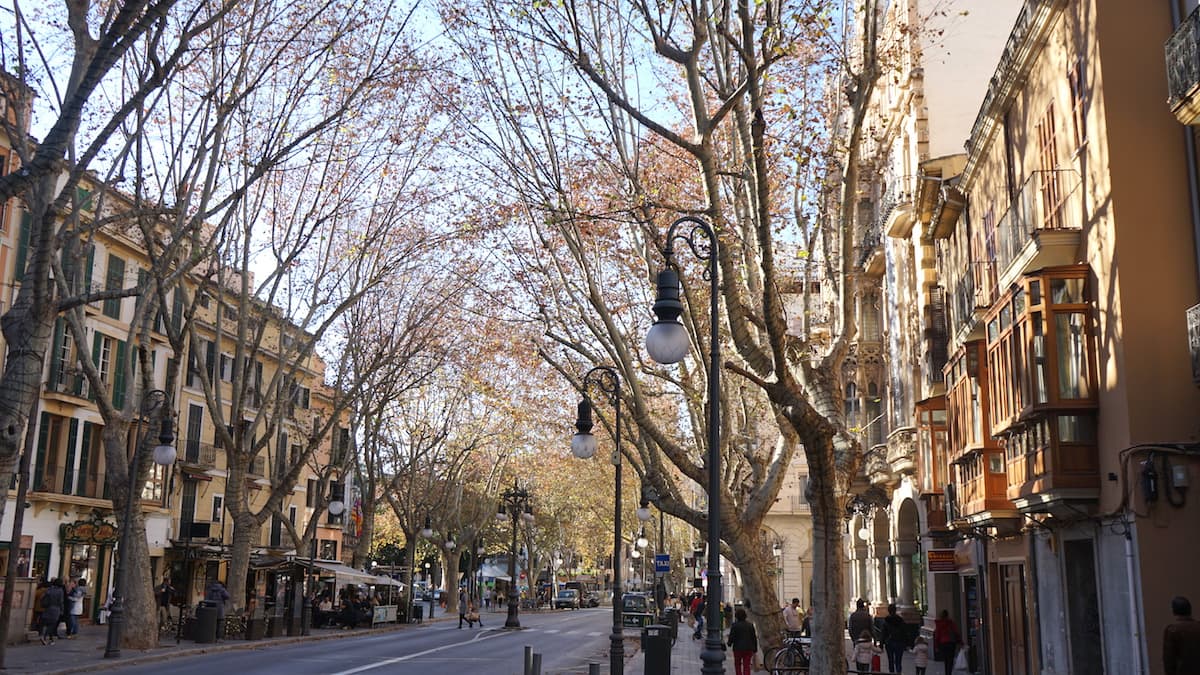 Palma de Mallorca, Placa del Mercat im Winter. Foto: Beate Ziehres