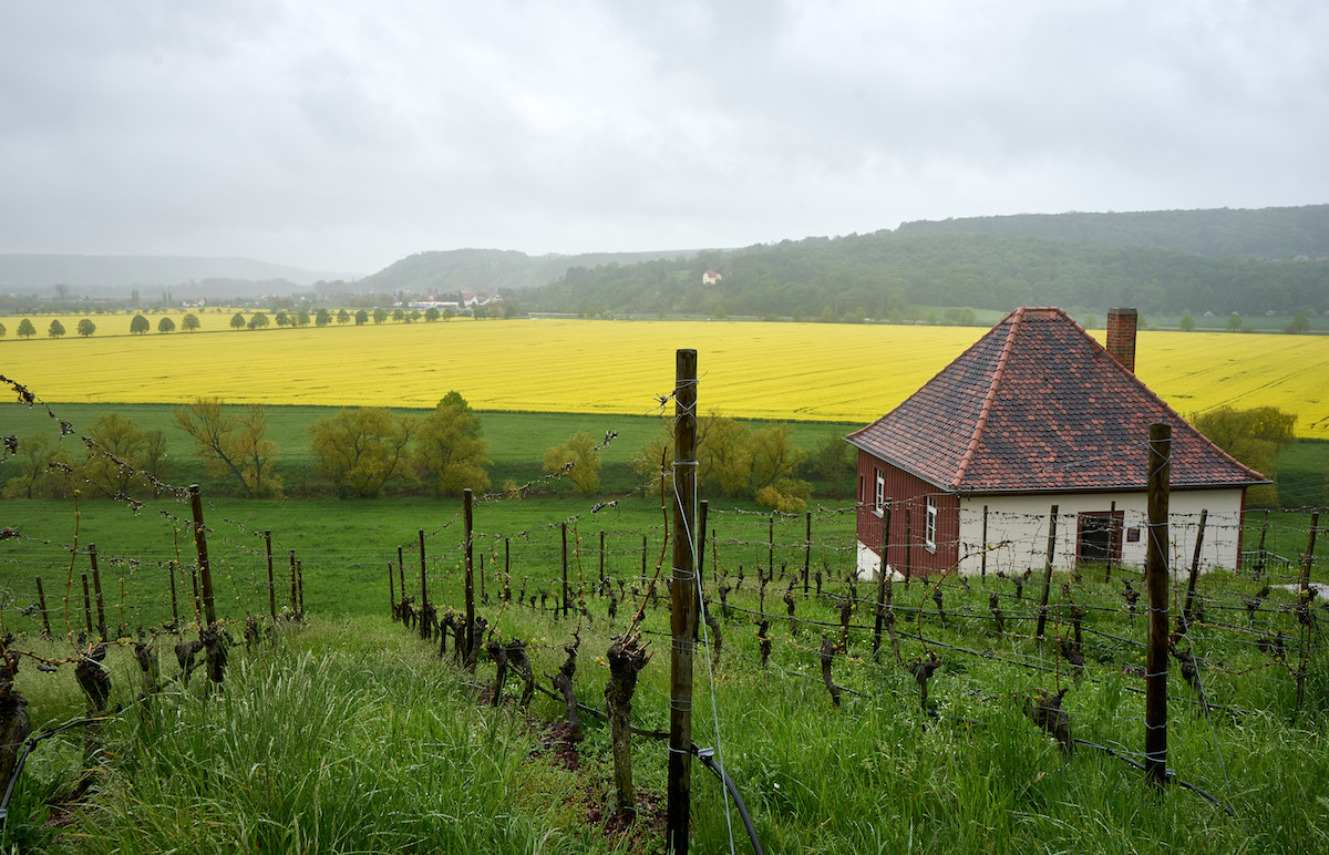 Radierhäuschen in Klingers Weinberg. Foto: Beate Ziehres, Reiselust-Mag