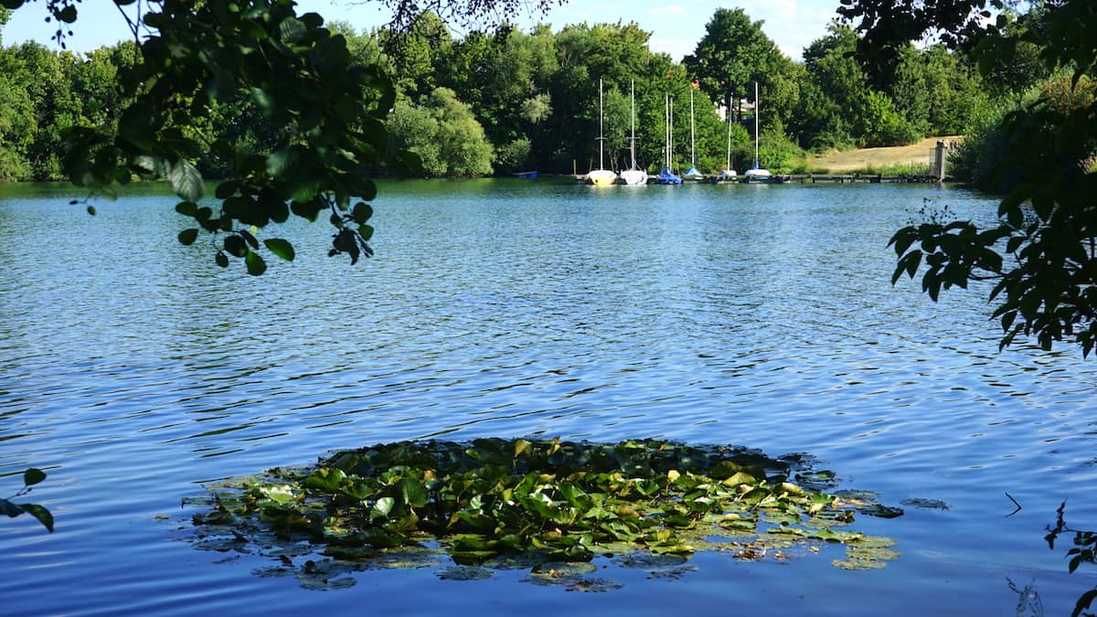 Niedersachsen: Vienenburger See. Foto: Beate Ziehres