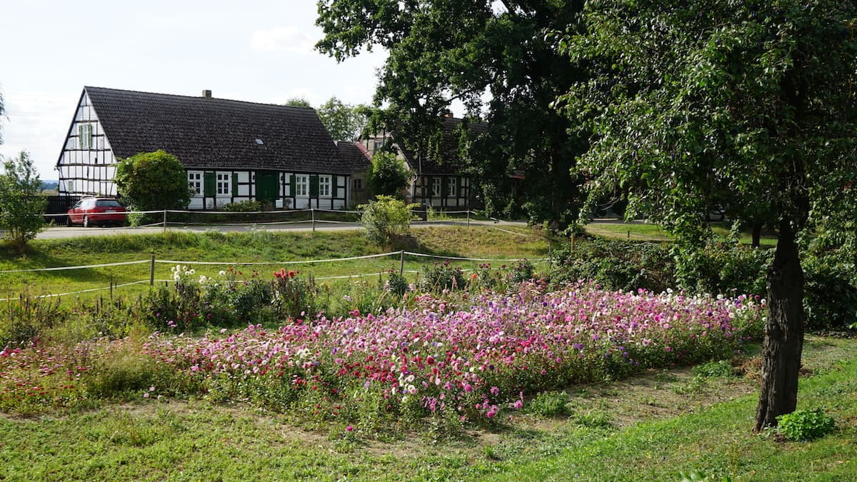 Oderbruch, Neulietzegöricke, Schachtgraben mit Blumengarten. Foto: Beate Ziehres