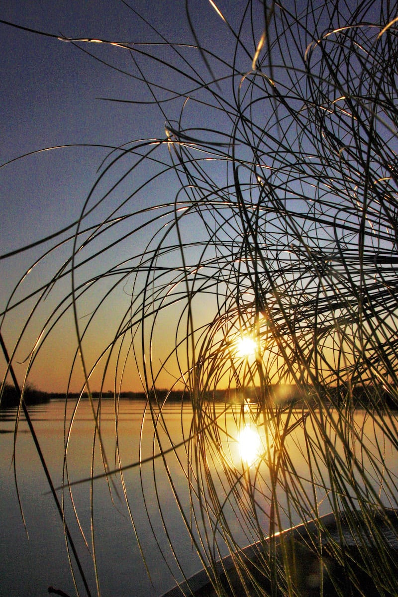 Sonnenuntergangsfahrt auf dem Okavango. Foto: Lena Ziehres, Reiselust-Mag