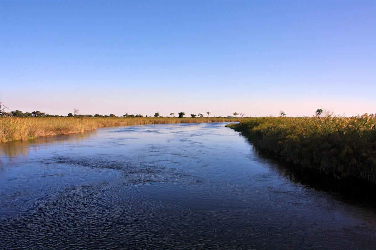 Okavango Panhandle: Blick vom Hausboot auf den Okavango. Foto: Lena Ziehres, Reiselust-Mag