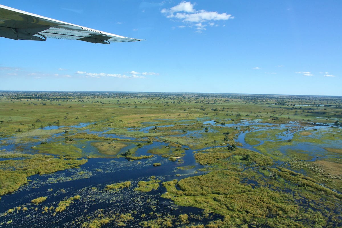 Im Kleinflugzeug über dem Okavango Panhandle. Foto: Lena Ziehres, Reiselust-Mag