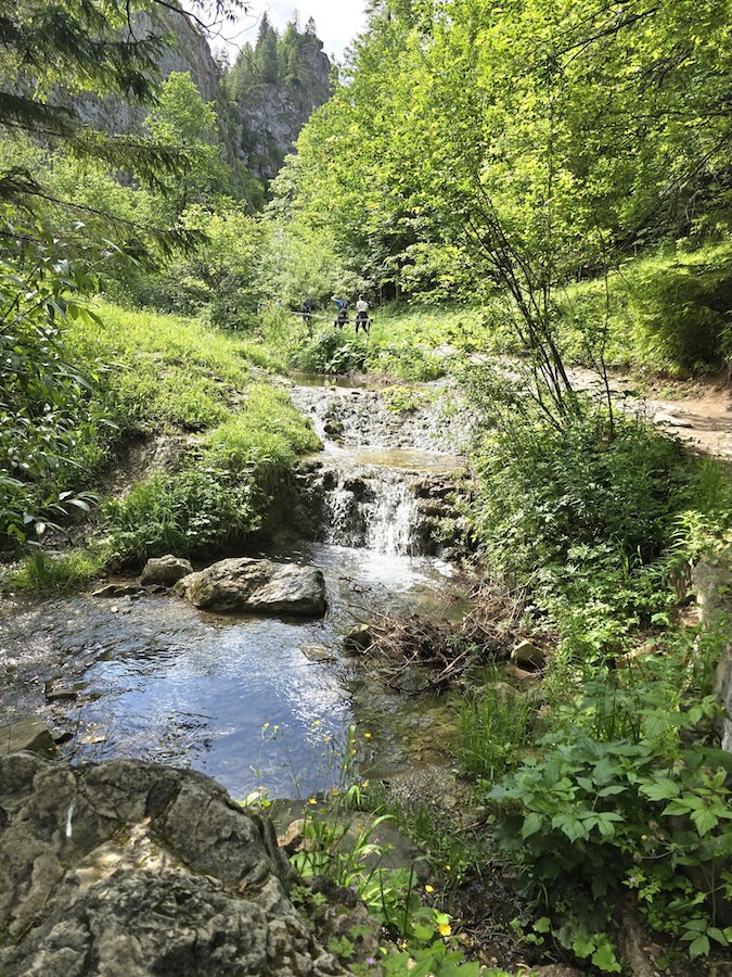 Homole-Schlucht, Pieninen, Polen. Foto: Beate Ziehres, Reiselust-Mag