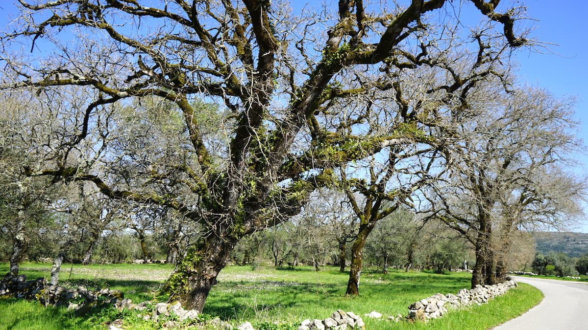 Portugal, Landschaft im Parque Natural Arrimal