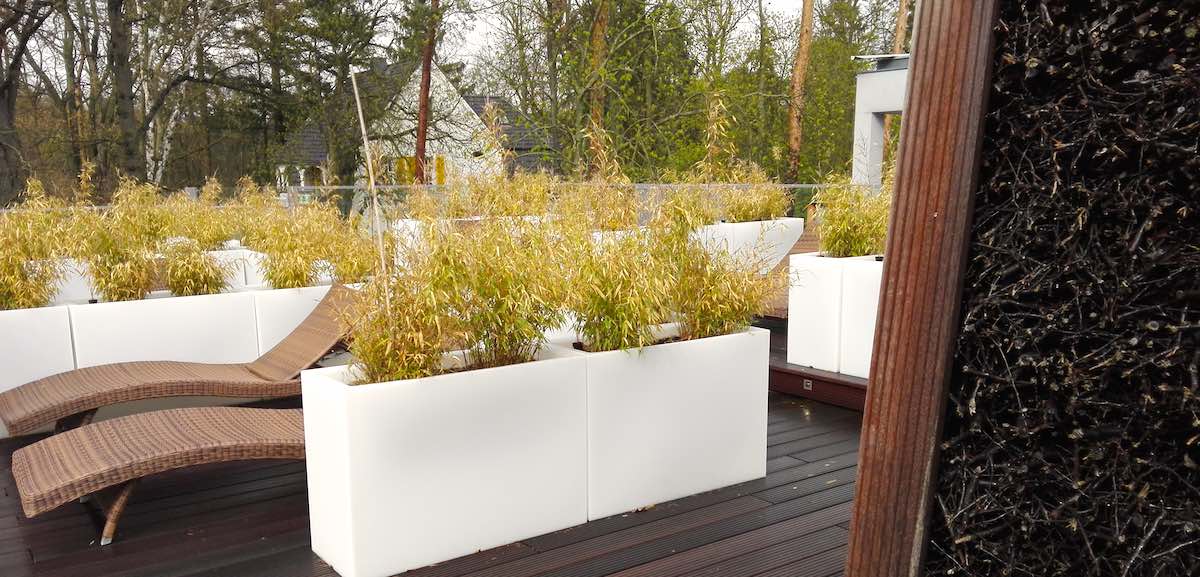 Wellness in der Bad Saarow Therme: das Gradierwerk auf der Dachterrasse der Panoramasauna – Foto: Beate Ziehres