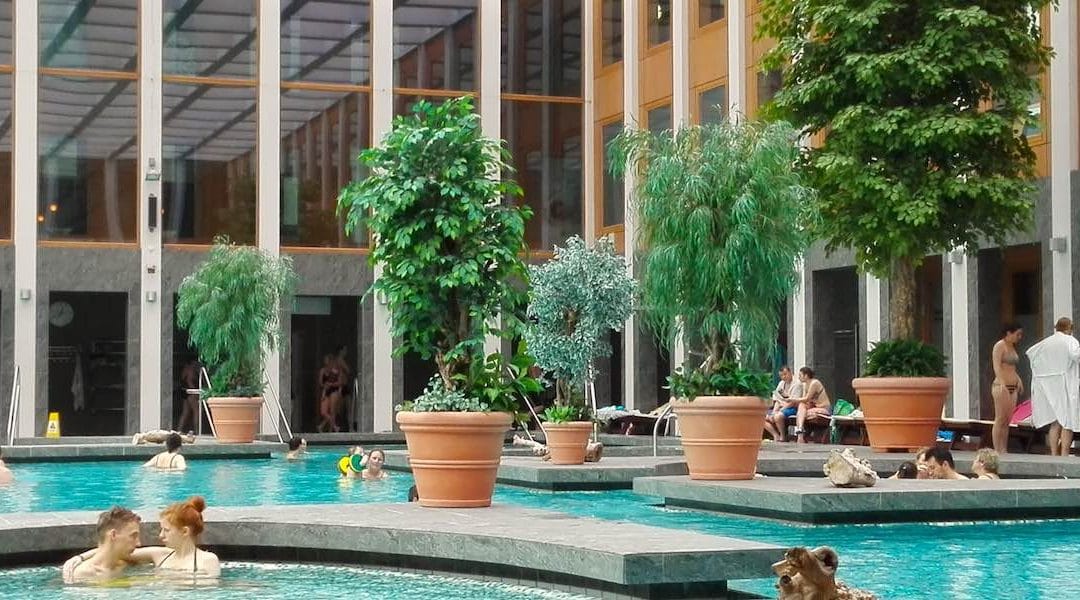 Wärme, Sole, Licht und Aussicht zum See: die Saarow-Therme