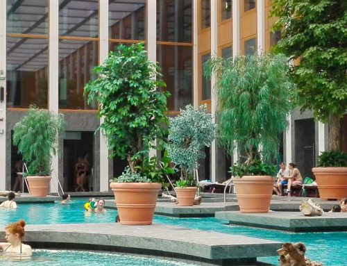 Bad Saarow Therme: Wellness-Erfahrungen, Preise, Öffnungszeiten