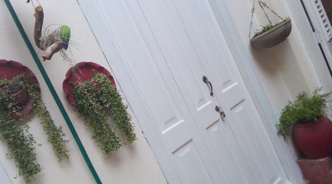 Privat wohnen in Havanna: die ganze Wahrheit über die Casa Floridiana