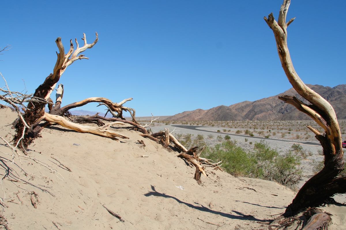 Fast schon surrealistisch: Szene an den Mesquite Flat Sand Dunes, Death Valley – Foto: Beate Ziehres