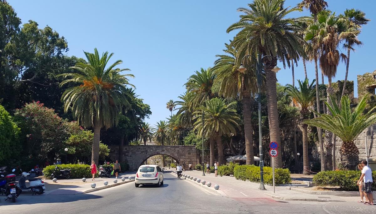 Der Palmenboulevard in Kos Stadt – Foto: Lena Ziehres