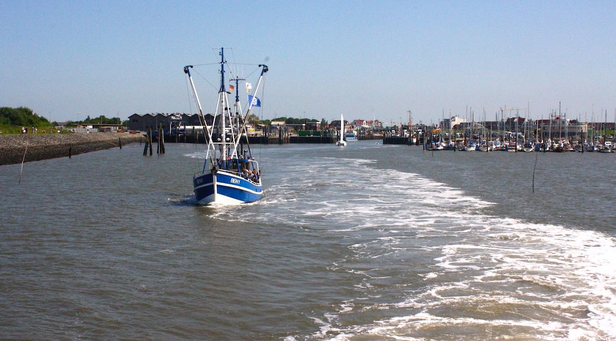 Im Hafen von Langeoog – Foto: Lena Ziehres