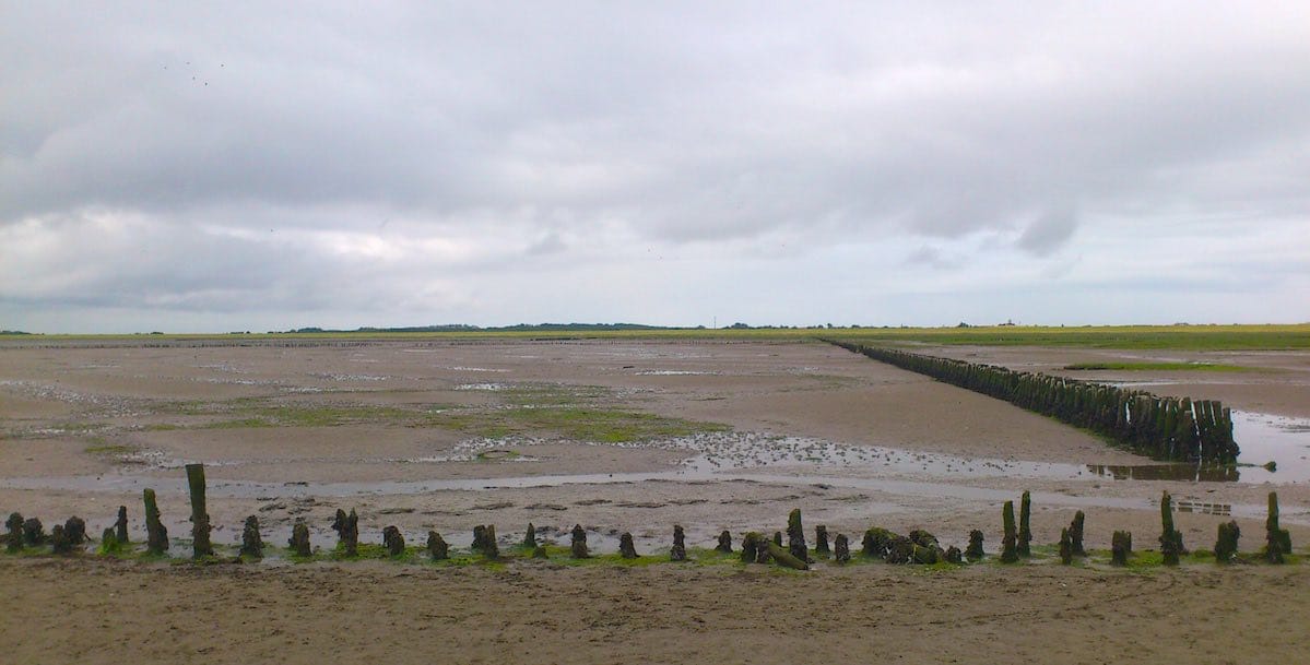 Auf Langeoog am Wattenmeer – Foto: Lena Ziehres