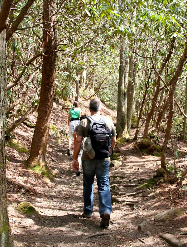 Tennessee, Smoky Mountains: Auf dem Ramsey Cascades Trail – Foto: Beate Ziehres