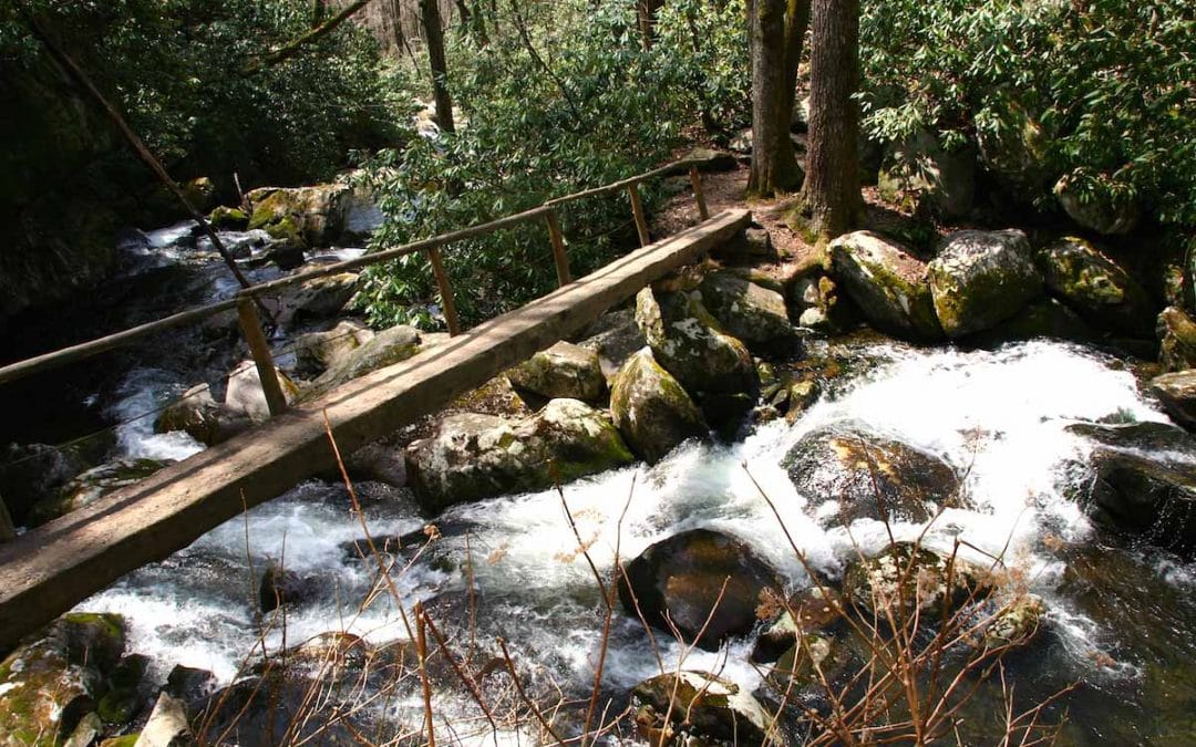 13 Bilder aus dem Great Smoky Mountains National Park