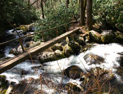 Tennessee und North Carolina: 13 Bilder aus den Smoky Mountains