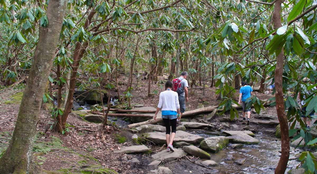 Zum Warmlaufen bei Gatlinburg, Tennessee: der Noah Bud Ogle Nature Trail – Foto: Beate Ziehres