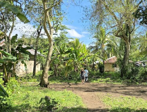 Sansibar: echtes Dorfleben auf der Insel Unguja entdecken