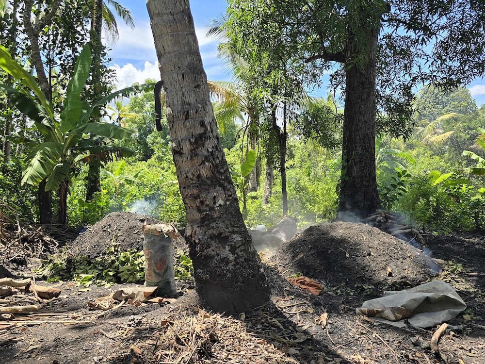 Sansibar Köhlerei. Foto: Beate Ziehres, Reiselust-Mag