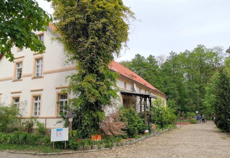 Müllrose und das Schlaubetal grünes Idyll in Brandenburgs Osten ReiselustMag