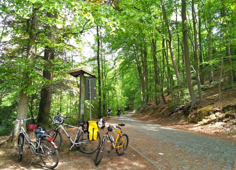 Müllrose und das Schlaubetal grünes Idyll in Brandenburgs Osten ReiselustMag