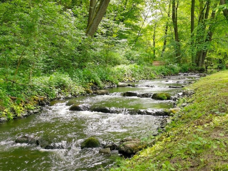 Müllrose und das Schlaubetal grünes Idyll in Brandenburgs Osten ReiselustMag